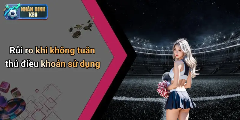 Rủi ro khi không tuân thủ điều khoản sử dụng