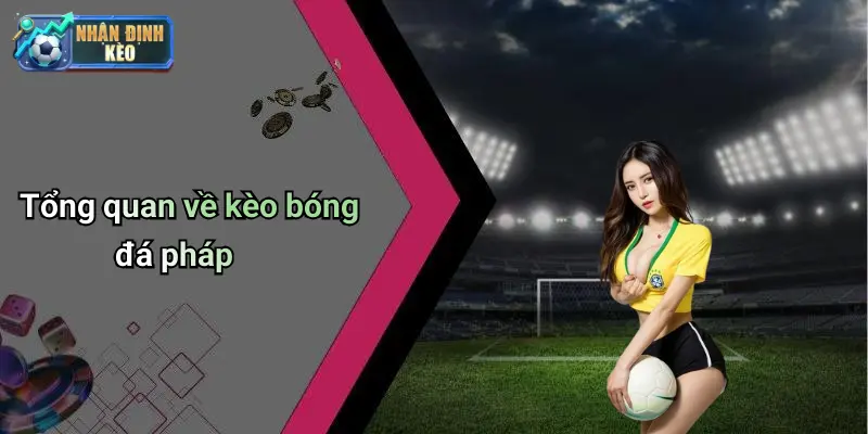 Tổng quan về kèo bóng đá pháp
