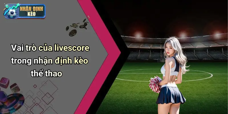 Vai trò của livescore trong nhận định kèo thể thao