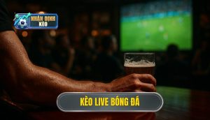 thumb - kèo live bóng đá