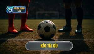 thumb - kèo tài xỉu