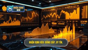 Làm gì khi nhà cái thay đổi tỷ lệ kèo đột ngột? Hướng dẫn xử lý từ chuyên gia