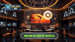 Kèo hôm nay đang nghiêng về cửa nào? Phân tích chuyên sâu từ chuyên gia soi kèo